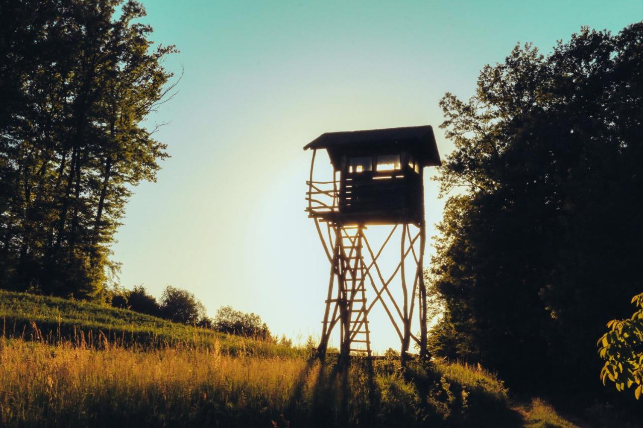 Etno Domacinstvo Milenkovic Vila Despotovac Exterior foto