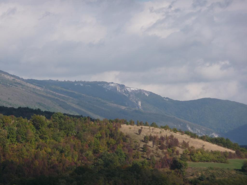 Etno Domacinstvo Milenkovic Vila Despotovac Exterior foto