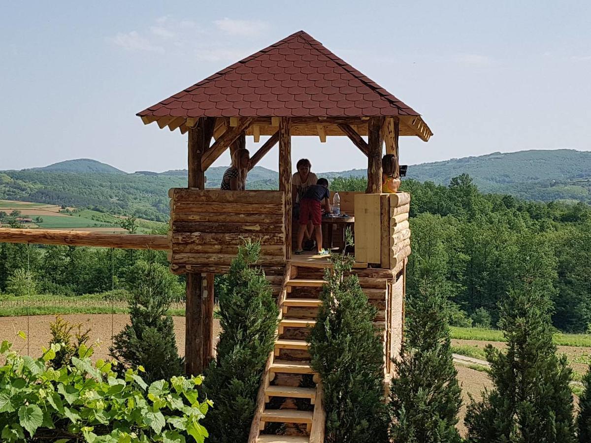 Etno Domacinstvo Milenkovic Vila Despotovac Exterior foto