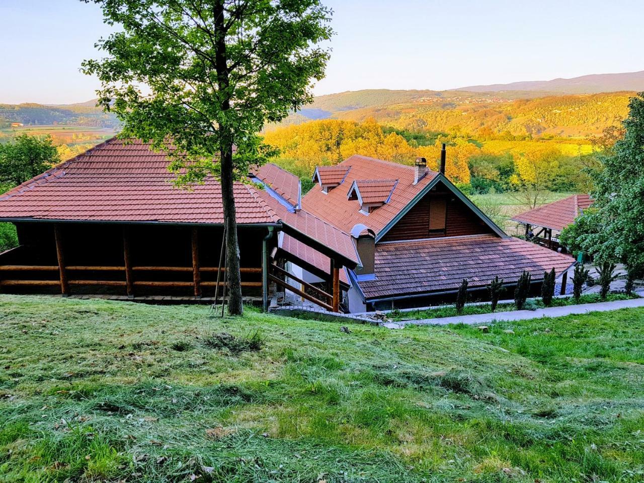 Etno Domacinstvo Milenkovic Vila Despotovac Exterior foto